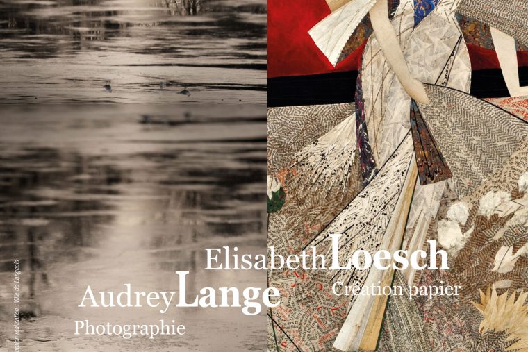 Dernière exposition de l’année 2023 en compagnie d’Élisabeth Loesch à la Douve de Langeais du 18/11 au 17/12